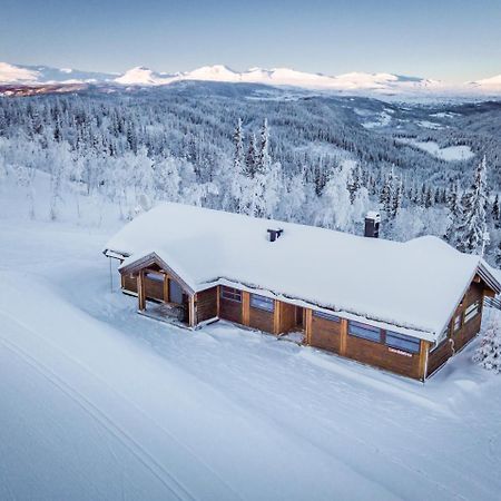 Liapark Villa Ål Exteriör bild
