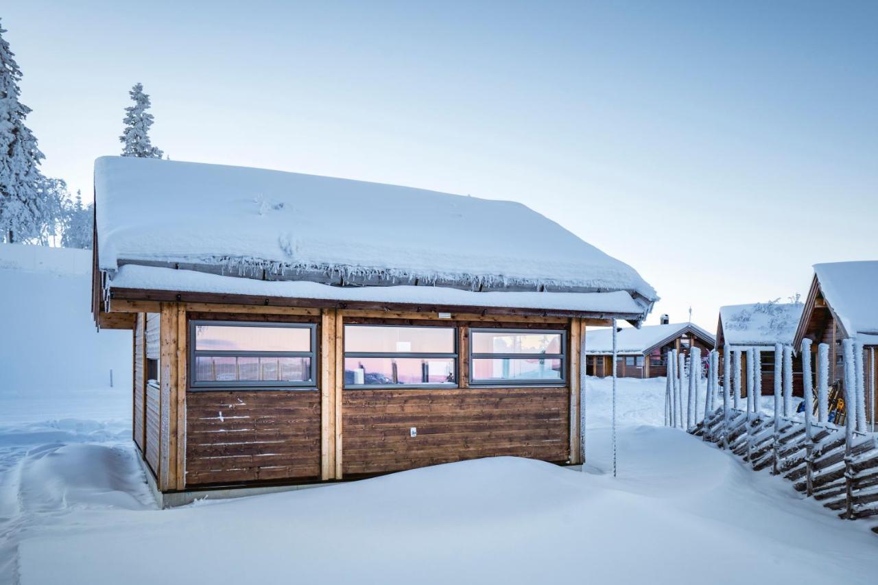 Liapark Villa Ål Exteriör bild