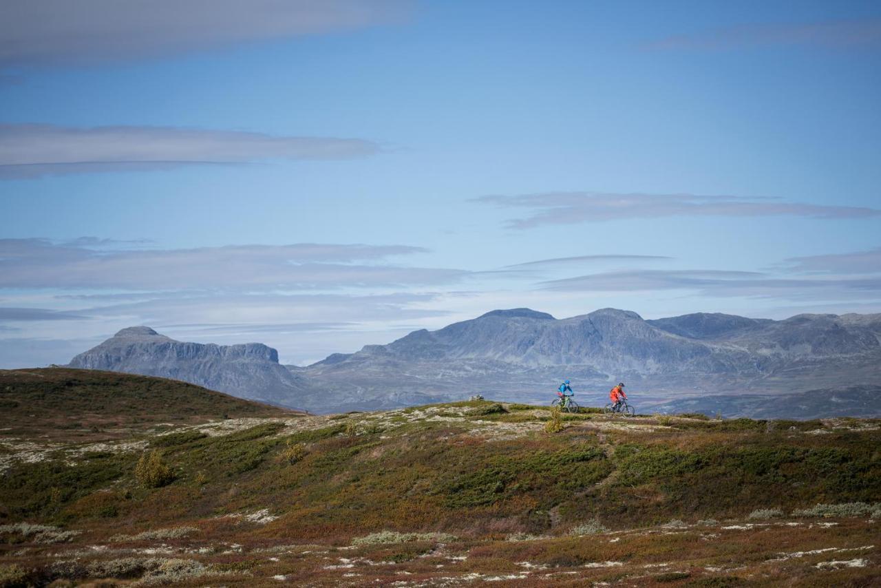 Liapark Villa Ål Exteriör bild