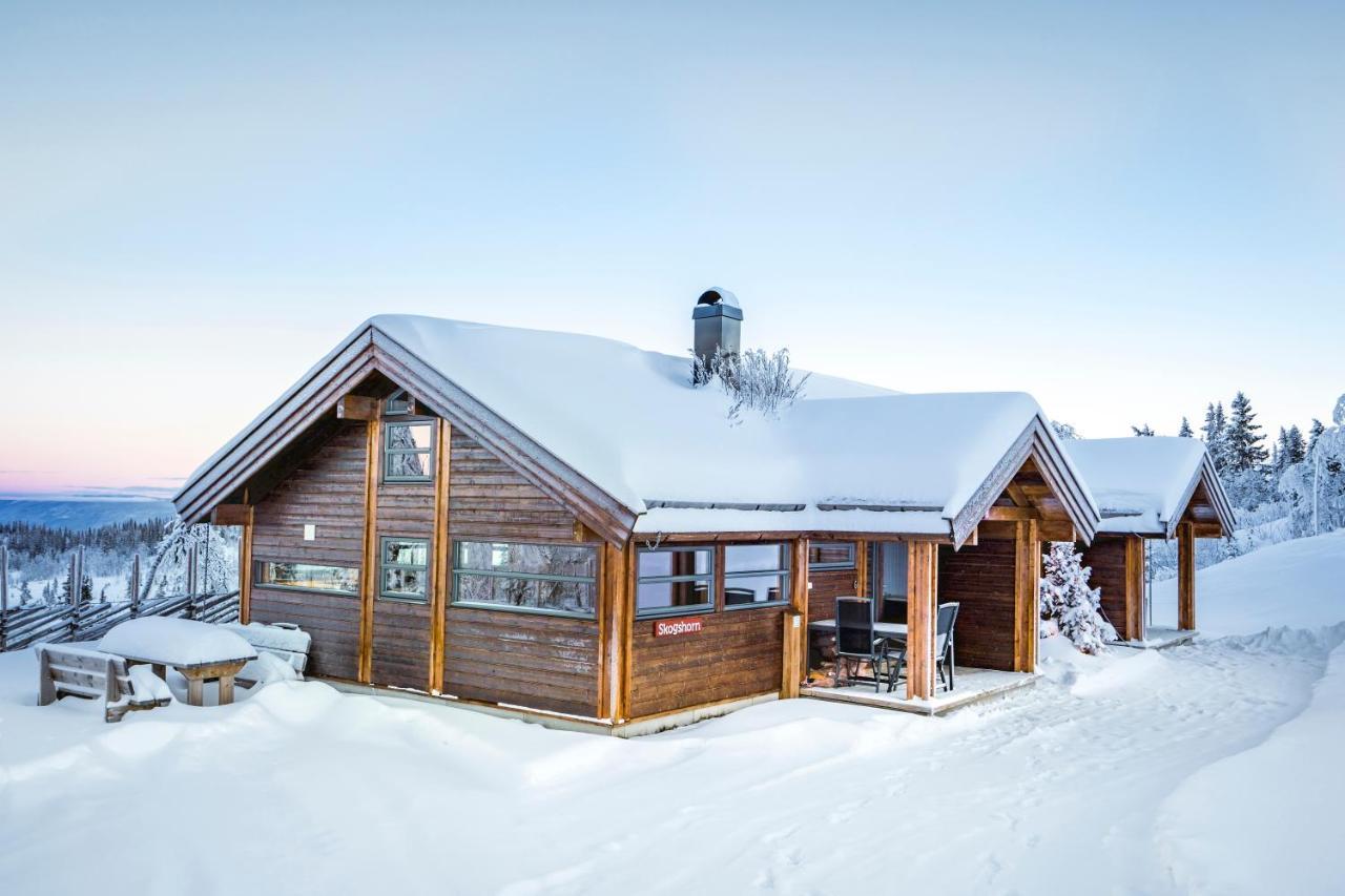 Liapark Villa Ål Exteriör bild