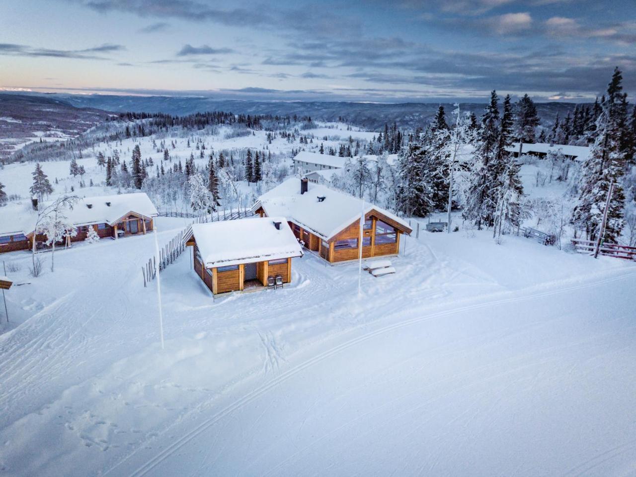 Liapark Villa Ål Exteriör bild