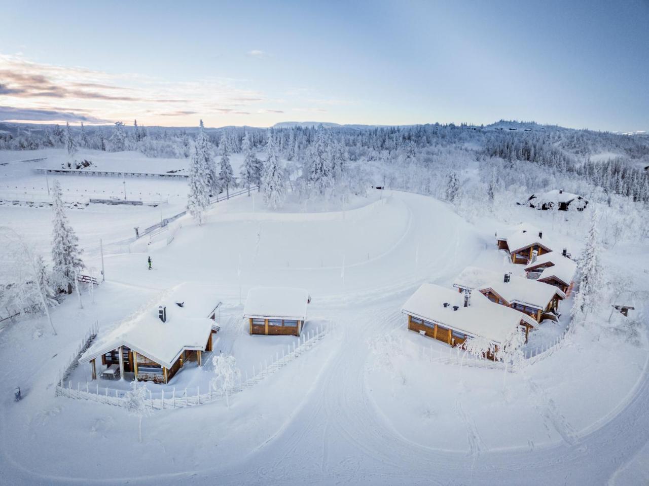 Liapark Villa Ål Exteriör bild