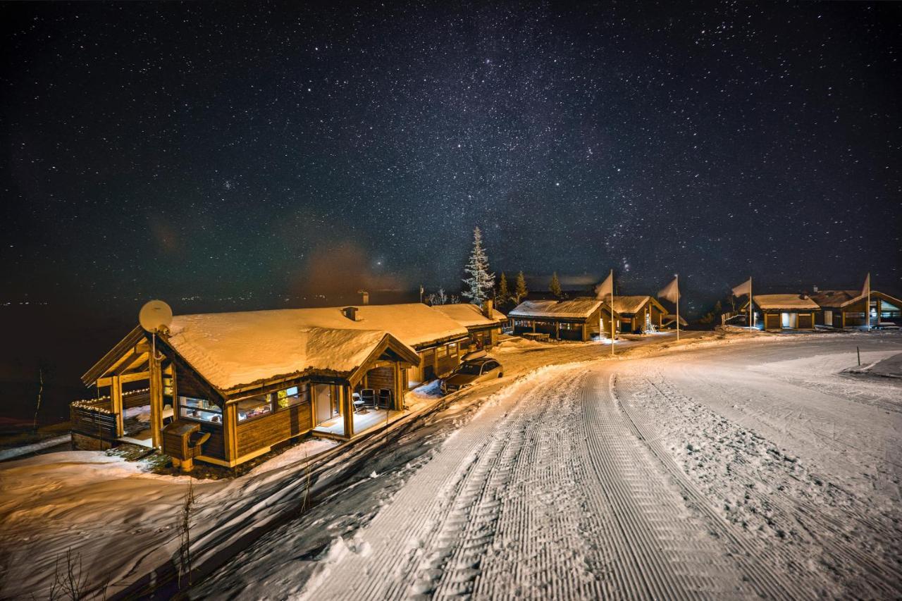 Liapark Villa Ål Exteriör bild