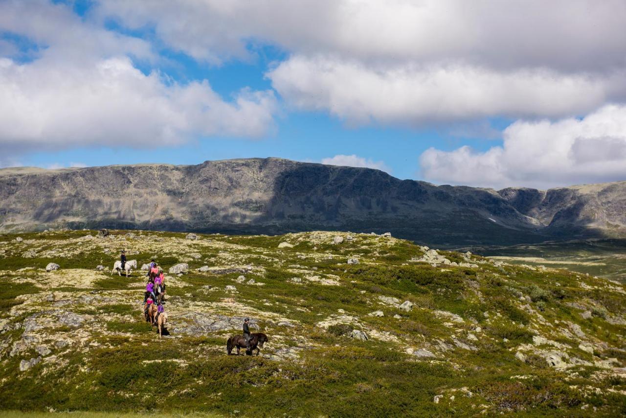 Liapark Villa Ål Exteriör bild